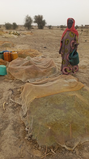 Fadimata pose dans son potager © HI Fadimata pose dans son potager © HI